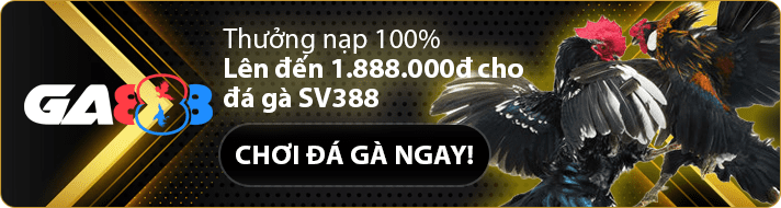 Tiền thưởng có sẵn trong tài khoản của bạn